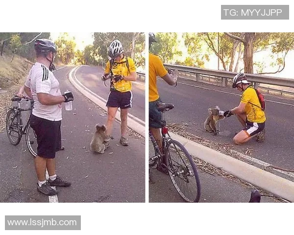 足球明星温暖心灵瞬间与粉丝互动展现真诚情感的感人时刻