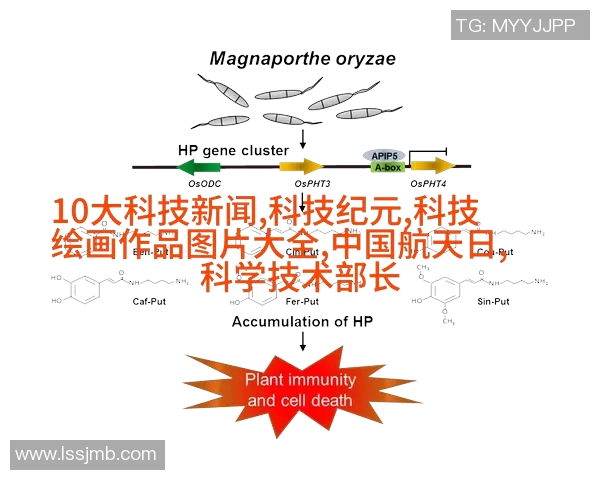 西安足球队盯防体系解析与战术运用的深度探讨