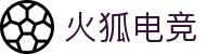 火狐电竞·(中国区)电子竞技平台